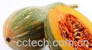 果蔬百科倭瓜的功效与作用-0