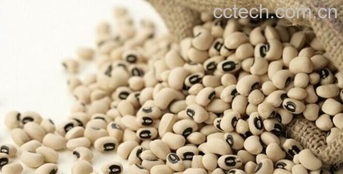 果蔬百科饭豆的功效与作用-0