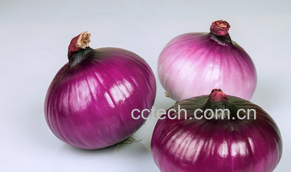 果蔬百科洋葱不能和什么一起吃-0