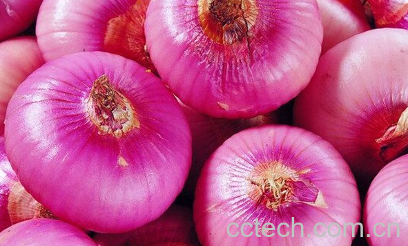 果蔬百科吃洋葱的五大好处-0