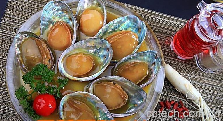 果蔬百科河蚌怎么吃 河蚌的做法大全-0