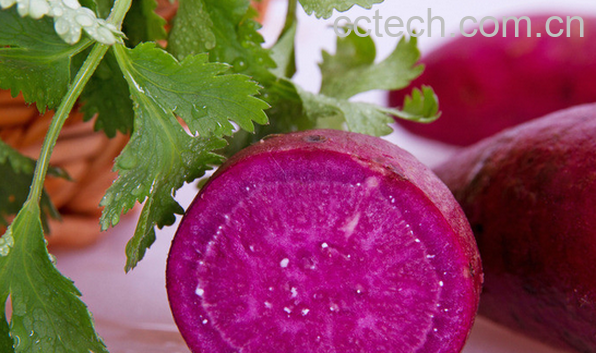 果蔬百科吃紫薯的好处有哪些-0