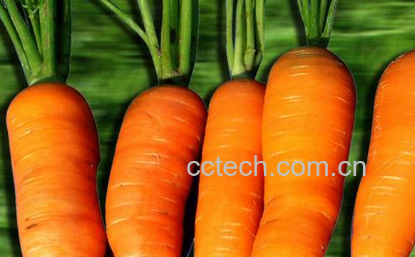 果蔬百科胡萝卜的食疗功效与用法-0