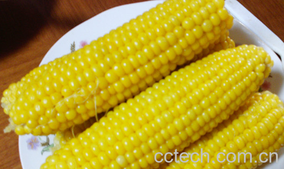 果蔬百科水果玉米的营养价值-0