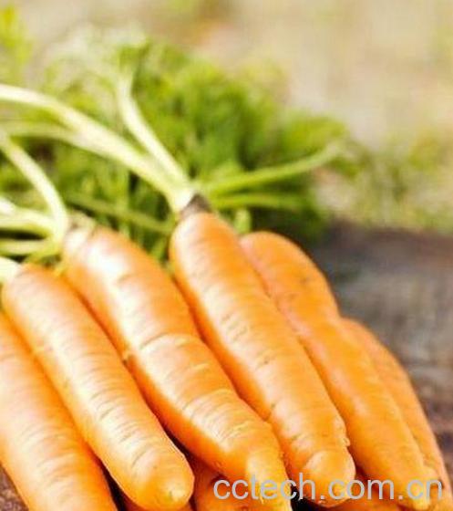 果蔬百科胡萝卜怎么吃营养 胡萝卜食用方法-0