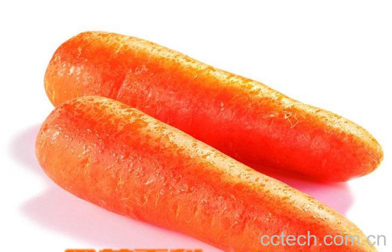 果蔬百科胡萝卜的功效与作用-0