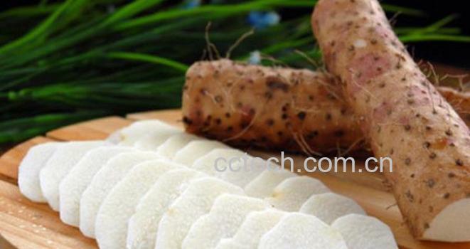 果蔬百科山药的功效与作用-0