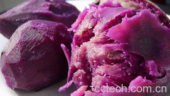 果蔬百科吃紫薯的禁忌-0