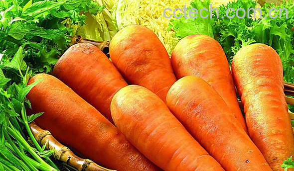 果蔬百科胡萝卜的营养价值-0