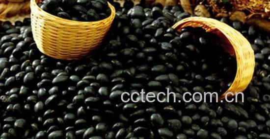 果蔬百科黑豆的功效与作用-0