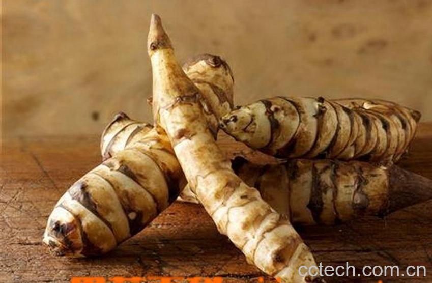 果蔬百科洋姜的功效与作用-0