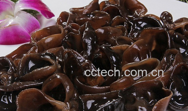 果蔬百科黑木耳的食疗功效有哪些-0