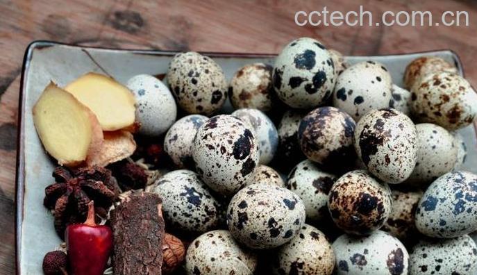 果蔬百科鹌鹑蛋的功效与作用-0