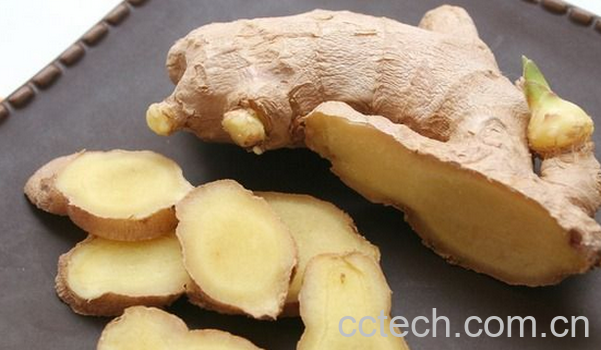 果蔬百科生姜不能和什么一起吃-0