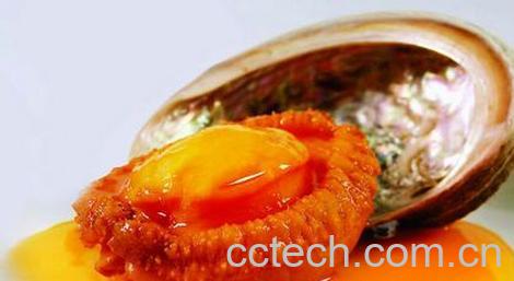 果蔬百科新鲜鲍鱼的营养价值及功效-0