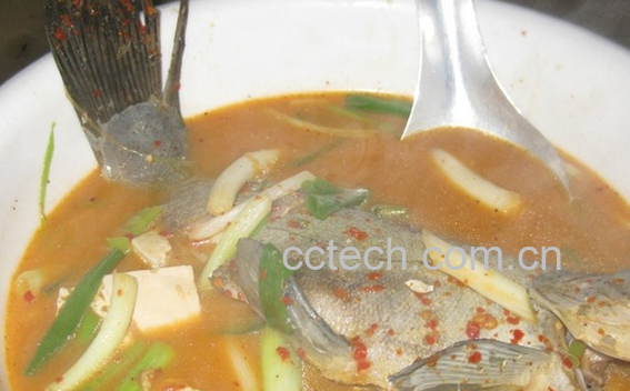 果蔬百科弓鱼怎么做好吃-0