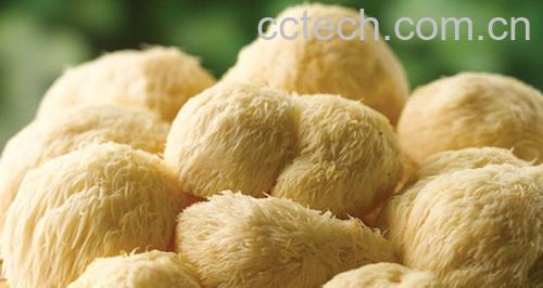 果蔬百科注意干猴头菇的泡发方法-0