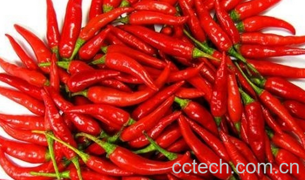 果蔬百科切辣椒辣到手怎么办-0