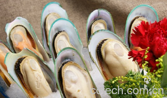 果蔬百科青口的功效与作用-0