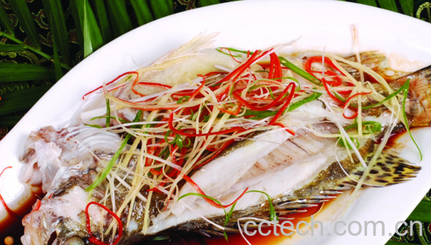 果蔬百科桂鱼的功效与作用-0