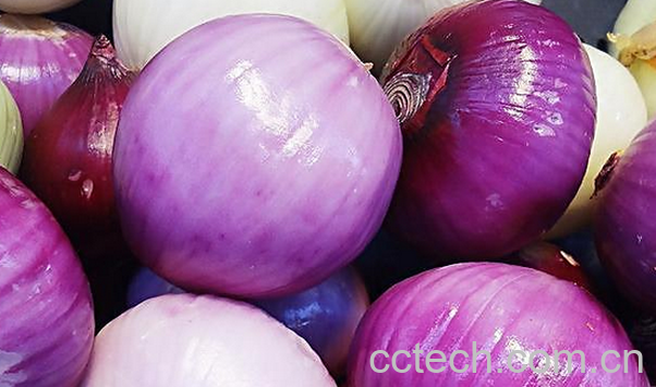 果蔬百科葱头的功效与作用-0