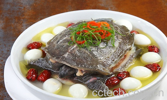 果蔬百科吃甲鱼过敏怎么办-0