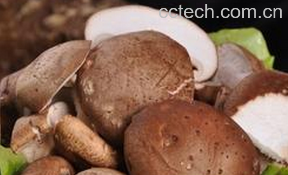 果蔬百科香菇的功效与作用-0