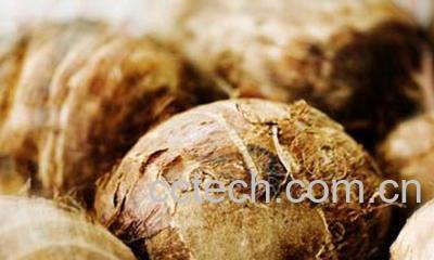 果蔬百科芋头宝宝怎么吃-0