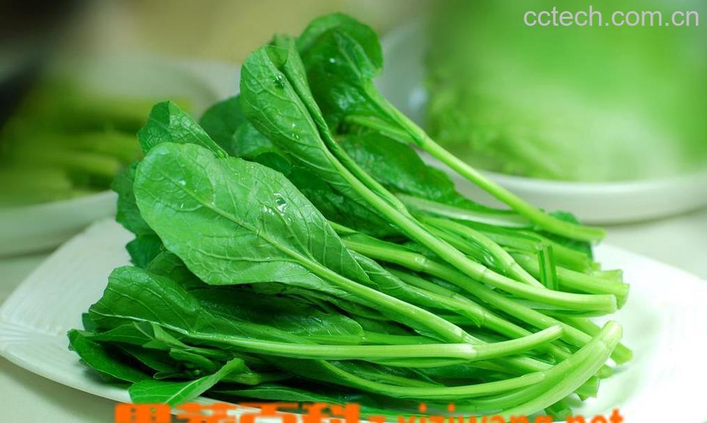 果蔬百科菜心怎么做好吃 菜心的营养价值及功效-0