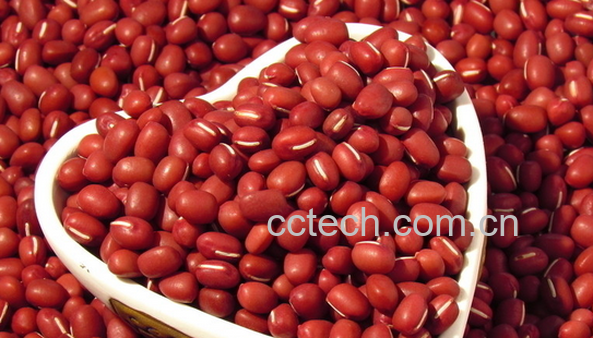 果蔬百科红豆可以减肥吗-0