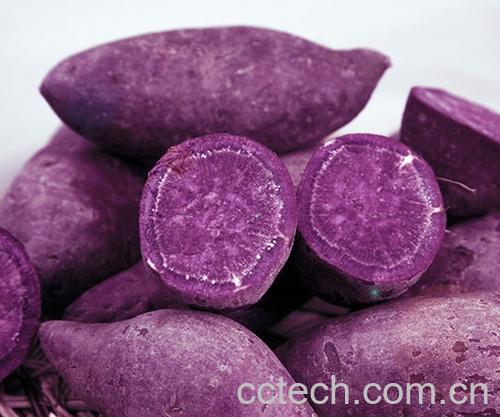 果蔬百科紫薯的功效与作用-0