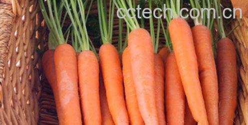 果蔬百科胡萝卜的营养价值及功效 胡萝卜怎么吃最营养-0