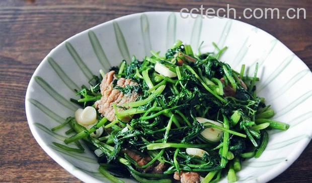 果蔬百科小茴香的吃法-0