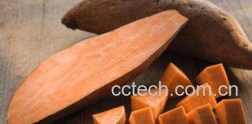 果蔬百科吃地瓜会发胖吗 吃地瓜的营养价值-0