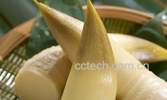 果蔬百科春笋的营养价值-0