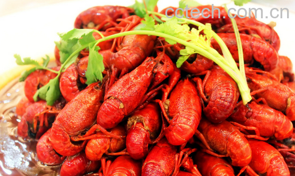 果蔬百科龙虾的营养价值与功效-0