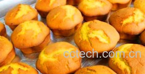 果蔬百科南瓜蛋糕的做法-0