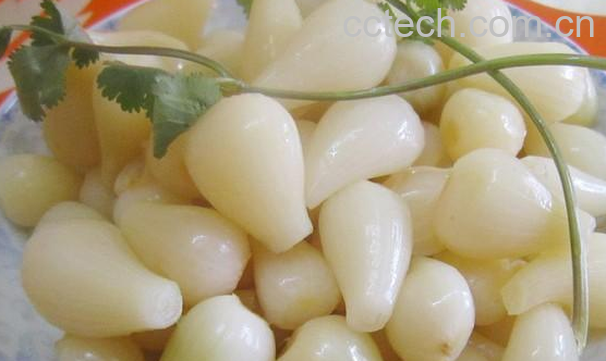 果蔬百科荞头的功效与作用-0