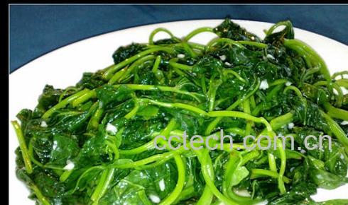 果蔬百科地瓜蔓怎么做好吃-0