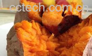 果蔬百科如何用烤箱烤红薯-0