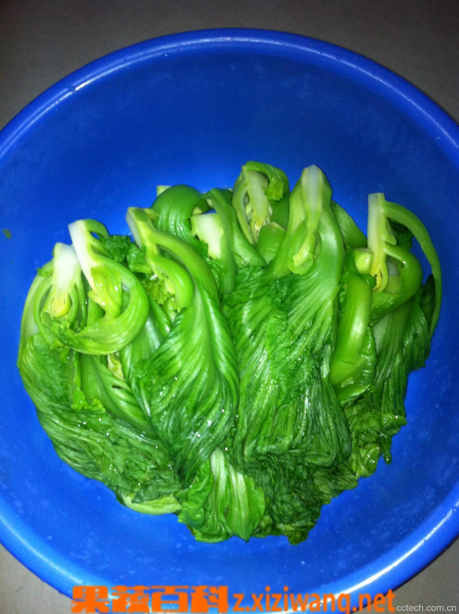 果蔬百科如何腌芥菜酸菜-0
