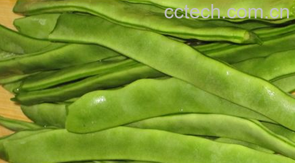 果蔬百科刀豆的营养价值与功效-0