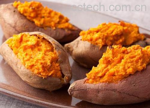 果蔬百科红薯不能和什么一起吃 红薯的吃法-0