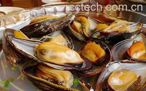 果蔬百科河蚌怎么吃好-0