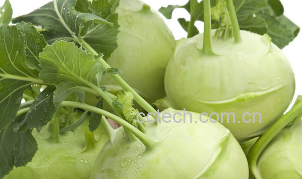 果蔬百科苤蓝的功效与作用-0