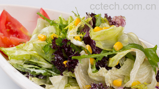 果蔬百科蔬菜沙拉怎么做-0