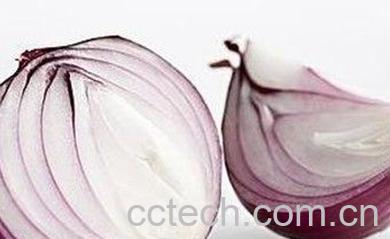 果蔬百科常吃洋葱的九大好处-0