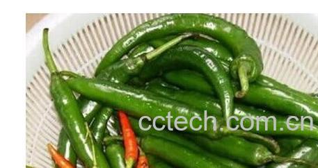 果蔬百科大辣椒怎么盐制-0