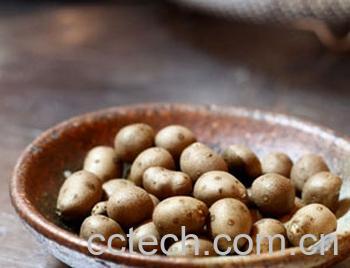 果蔬百科吃麻山药豆有什么好处-0