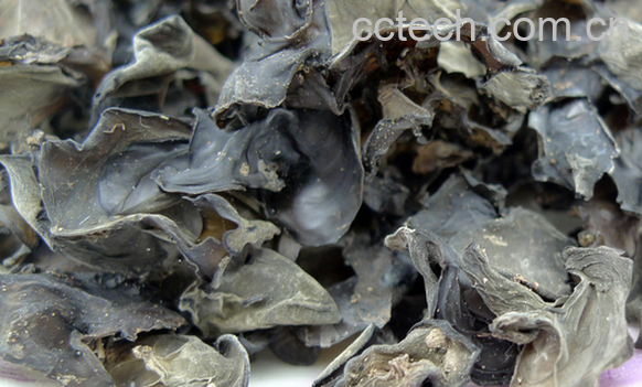 果蔬百科黑木耳的治病偏方-0